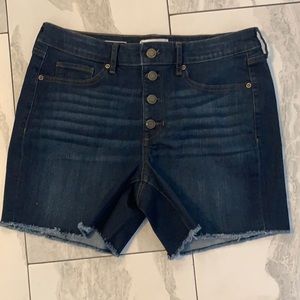 NWOT Sonoma Shorts